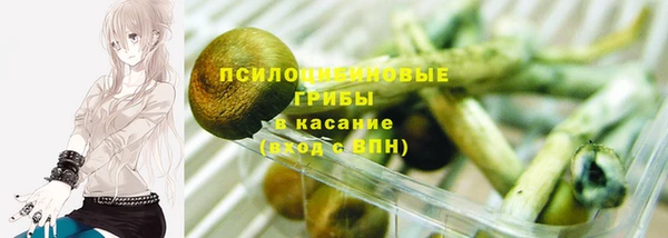 бошки Зеленокумск