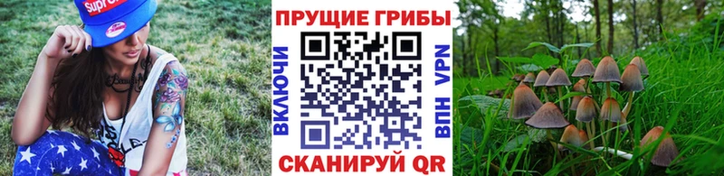 Галлюциногенные грибы ЛСД Купить закладки Печора
